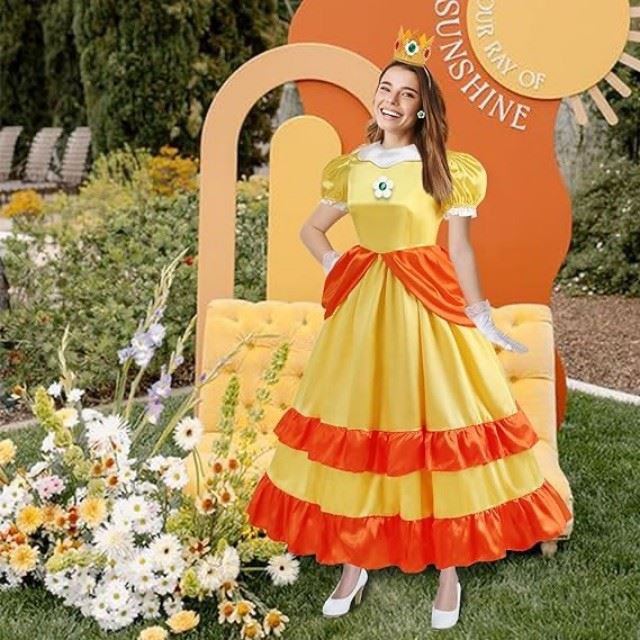 Princess Fancy Dress Adults